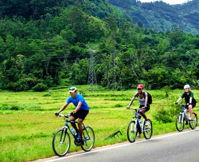 Cycling Holidays